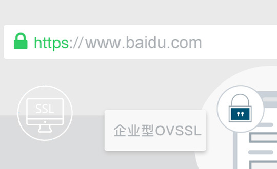 企業(yè)型 OV SSL證書(shū)