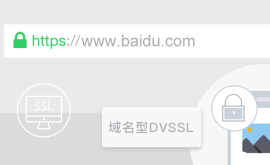 域名型 DV SSL證書(shū)